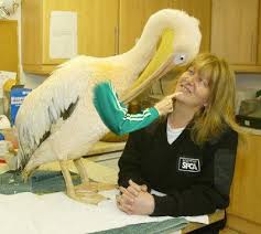 Maybe you would like to learn more about one of these? Now Listen Here You Little Shit Imgur