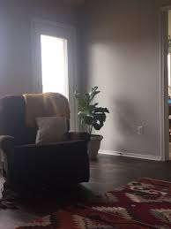 Sherwin Williams Icy Avalanche And Fiddle Fig Leaf Tree Living Room Colors Room Colors Cozy House