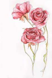 Finde die besten kostenlosen videos zu blumen zeichnen. 1001 Schone Bilder Zum Nachmalen Und Video Anleitungen