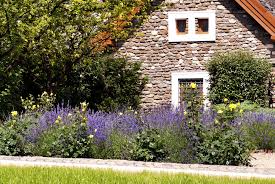 Lavendel (lavandula) ist ein mediterraner halbstrauch mit aromatisch riechenden blüten und blättern. Vorgarten Mit Lavendel Gestalten Schone Ideen