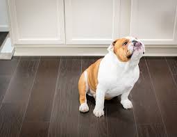 Fuzion flooring (14) fiber system. Canada Hardwood Flooring Inc 905 420 3285 Hardwood Flooring Experts Complete Hardwood Flooring Services Refinishing Hardwood Floors Ajax Bowmanville Scarborough Pickering Oshawa Whitby Markham Stouffville Brooklyn Durham Region