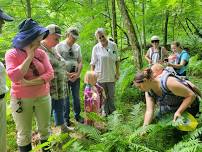 Exploring An Ancient Floodplain Forest