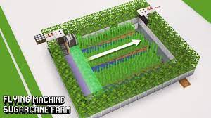 Cara Membuat Flying Machine Sugarcane Farm Minecraft Indonesia 1 15 Youtube