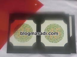 We did not find results for: Cara Menghadapi Tes Buta Warna Bagi Penderita Buta Warna Parsial Blognya Mas Adi