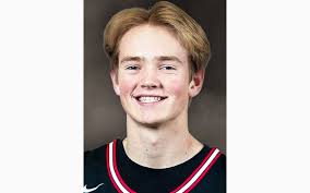 Boys basketball awards: Alexandria looks back