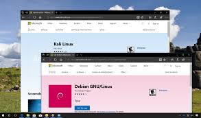 Install teamviewer host on an unlimited number of computers and devices. Debian And Kali Linux Distros For Windows 10 Now In The Microsoft Store Pureinfotech