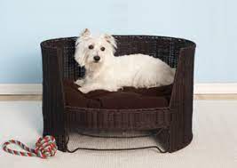 We did not find results for: Dog Furniture And Dog Beds From The Refined Canine Luxury Maker Of Indoor And Outdoor Dog Bed Furniture
