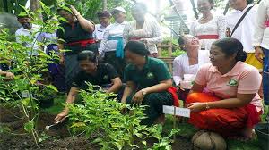 Terapkan saja di rumah kebun seperti desain di atas. Kurangi Pengeluaran Uang Dapur Dengan Memanfaatkan Pekarangan Rumah Tribun Bali