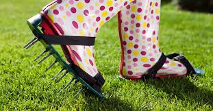 Lawn aeration is often neglected, but it can make a big difference. 5 Best Lawn Aerators Uk 2021 Review