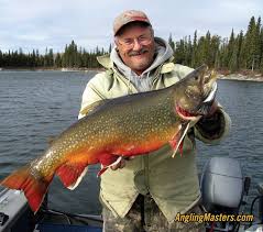 Though native to only the pacific northwest, rainbow trout has gained popularity as a sport fish and hatchery fish. 380 Best Brook Trout Photos Ideas Brook Trout Trout Fly Fishing