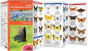Texas Butterflies Moths Pocket Naturalist Guide