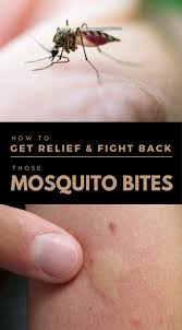 Bug Bites That Look Like Mosquito Bites But Aren T Pin On Tips