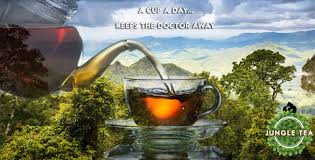 Image result for Fadogia ancylantha