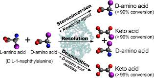 Deracemization And Stereoinversion Of A Amino Acids By L Amino Acid Deaminase Rosini 2017 Advanced Synthesis Amp Catalysis Wiley Online Library