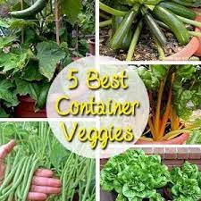 Brown Thumb Mama Making Natural Living Easy Container Gardening Plants Container Vegetables