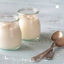 Kopekler Yogurt Yer Mi
