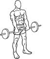 Check out tips, form videos and more for neutral grip dumbbell front raise on gravitus. Front Raise Wikipedia
