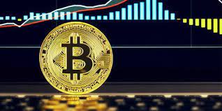 One can be working in the field related to cryptocurrency and. Investing In Bitcoin Reasons To Invest In Bitcoin In India 2021 By Peter Jack The Capital Medium