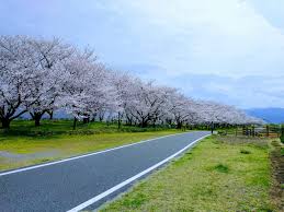 住みたい田舎のトラベラー