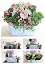 28 Container Gardens For Spring Day 18 Carmen Johnston Gardens Container Flowers Container Gardening Flowers Garden Containers