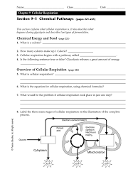Cellular respiration is how cells take the energy in food and make it into atp, the cell's moment to moment energy source. Biology Lesson 9 1 Worksheet Cellular Respiration Glycolysis