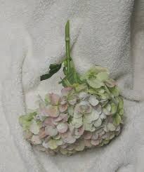 Yo cho diy bouquet silk hydrangea artificial flower small bunch wedding bridesmaid fake hydrangea wedding wall home party decor. Green Hydrangea Wedding Bouquets Easy Flower Tutorials For Weddings
