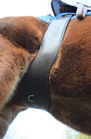 My saddle was very unstable, and i kept feeling like i simply couldn't tighten the girth enough even though there was no possible way i have been wanting to try out the total saddle fit girth for a while. Product Review Total Saddle Fit Shoulder Relief Girth Jump Ap Eventing Nation Three Day Eventing News Results Videos And Commentary