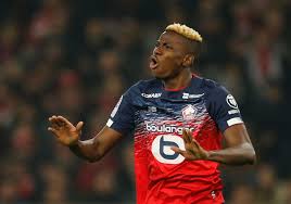 La storia di victor osimhen | the victor osimhen story. Napoli Make Heavy Proposal For Lille S Victor Osimhen