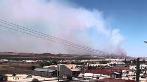 Culebra De Agua En Chihuahua 2016 By Matias Andrade
