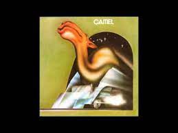 It seems like i'm into from the first camel album (could it be that it's the only album which. Never Let Go Camel Bass Tabs Acousterr