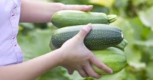 Zucchini summer squash, includes skin, cooked, boiled, drained, without salt 1 cup, sliced 27 calories 4.8 g 0.6 g 2.1 g. Pin On Healthy Recipes