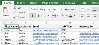 How To Build Org Charts In Word Templates Pingboard