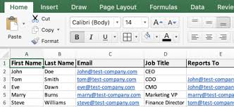 How To Build Org Charts In Excel Templates Pingboard