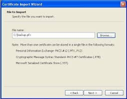 We did not find results for: Exportieren Und Wiederherstellen Einer Pfx Datei In Iis Secorio Ag