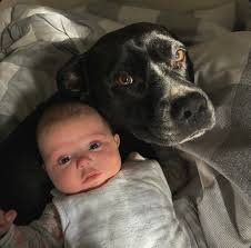 Does anyone recognise this dog?