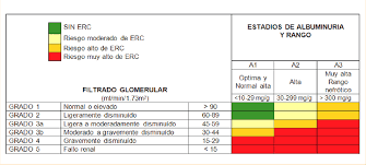 Learn about pronostico with free interactive flashcards. Pronostico De La Enfermedad Renal Cronica Segun Las Categorias De Download Scientific Diagram