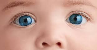 Is It Ethical To Choose Your Baby S Eye Color Wsj There's one thing that you may have never noticed about ivanka trump, her changing eye color.