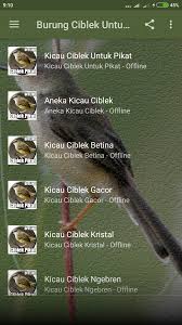 Download ciblek kristal ciblek putih status video, whatsapp status, facebook status, status romantic, love status, sad song status videos, wishes satatus videos free on status.com.pk. Kicau Burung Ciblek Pikat Mp3 Apk 4 0 Download For Android Download Kicau Burung Ciblek Pikat Mp3 Apk Latest Version Apkfab Com