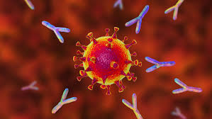 The ones you may have and how they make you feel will depend on many factors, such as how healthy you are before treatment, your type of cancer, how advanced it is, the type of monoclonal antibody you are receiving, and the dose. Antibodies Made In The Lab Show Some Promise For Treating Covid 19 Science News