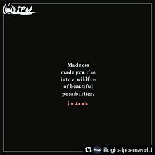 Repost Illogicalpoemworld Get Repost Musing Janine Tamis J M Tamis Illogicalpoemworld Wisdom Quotes Instagram Posts Instagram
