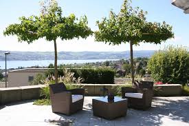 Dachterrasse Anlegen Und Gestalten Egli Garten Ag