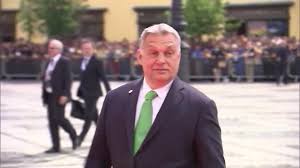They are from an article by zsolt bayer, one of the founders of hungary's ruling party, fidesz, and a friend of prime minister. Orban Meme Video Gifs Funny Pets Videos Cute Pets Videos Funny Animals Videos Cute Animals Videos Funny Dogs Videos Cute Dogs Videos Funny Cats Videos Cute Cats Videos
