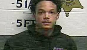 The News Journal Corbin Police seek Miller Park vandalism suspect