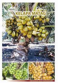 Kelapa matag dan pandan adalah disyorkan kerana ia. Kelapa Matag Photos Facebook
