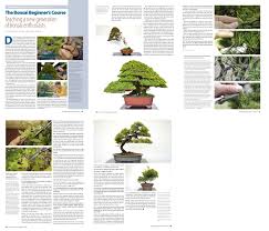 Just like real trees, an important aspect on bonsai care is fertilization. Our Online Bonsai Courses Bonsai Empire