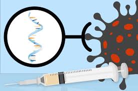 18 press release that its vaccine was 95% effective in preventing. Explained Why Rna Vaccines For Covid 19 Raced To The Front Of The Pack Mit News Massachusetts Institute Of Technology