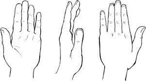 I took the two photographs above of the exact same hand from the exact same distance. How To Draw Hands Draw Hand Side View Drawing