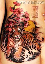 Tiger Cherry Blossoms Moon Tiger Tattoo Images Tiger Tattoo Picture Tattoos