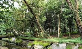 Maybe you would like to learn more about one of these? 30 Tempat Wisata Di Pekanbaru Terbaru Terhits Dikunjungi Andalas Tourism