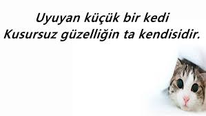 Kediler Ile Ilgili Sozler Kediler Ile Ilgili Yazilar Yeni En Kapak Sozler